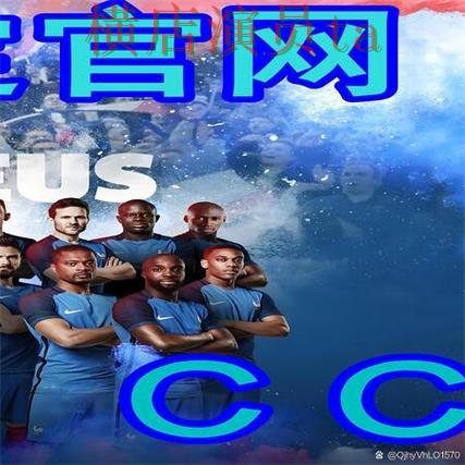 推荐世界杯买球网站：从官网直达到使用全流程解析 - 世界杯官方信息